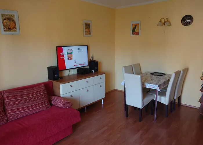 Coke Wellness * Siófok